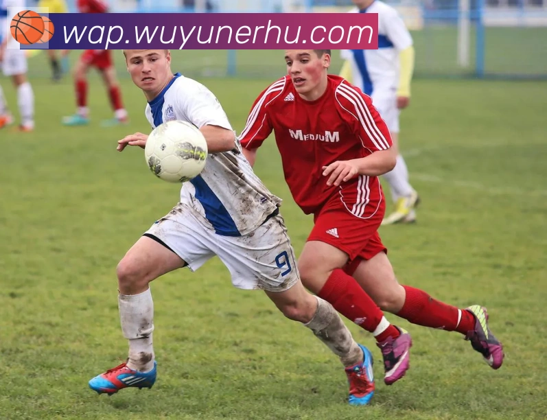 开云app登录入口平台生态图