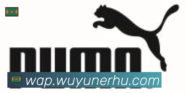 开云app登录入口合作伙伴