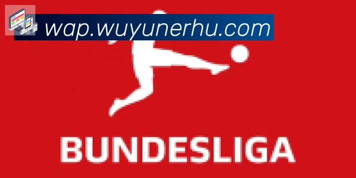 开云app登录入口合作伙伴