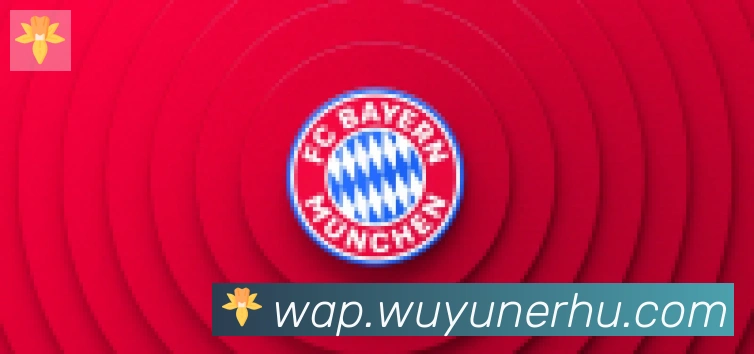 开云app登录入口合作伙伴