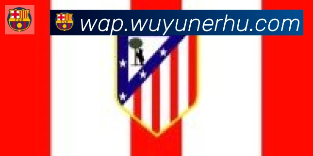 开云app登录入口合作伙伴