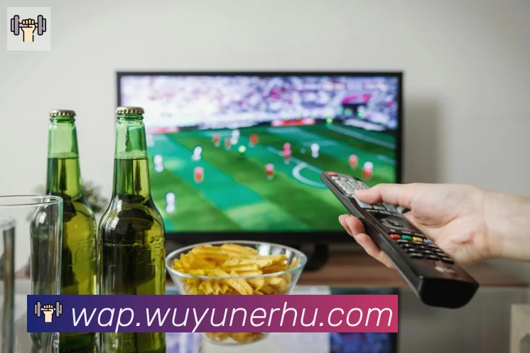 开云app登录入口全站App